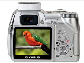 出游的最佳伴侣 从普通数码到长焦精品，相机选购全指南